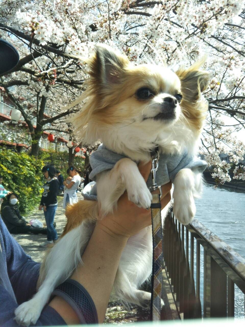 コロナに負けるな！