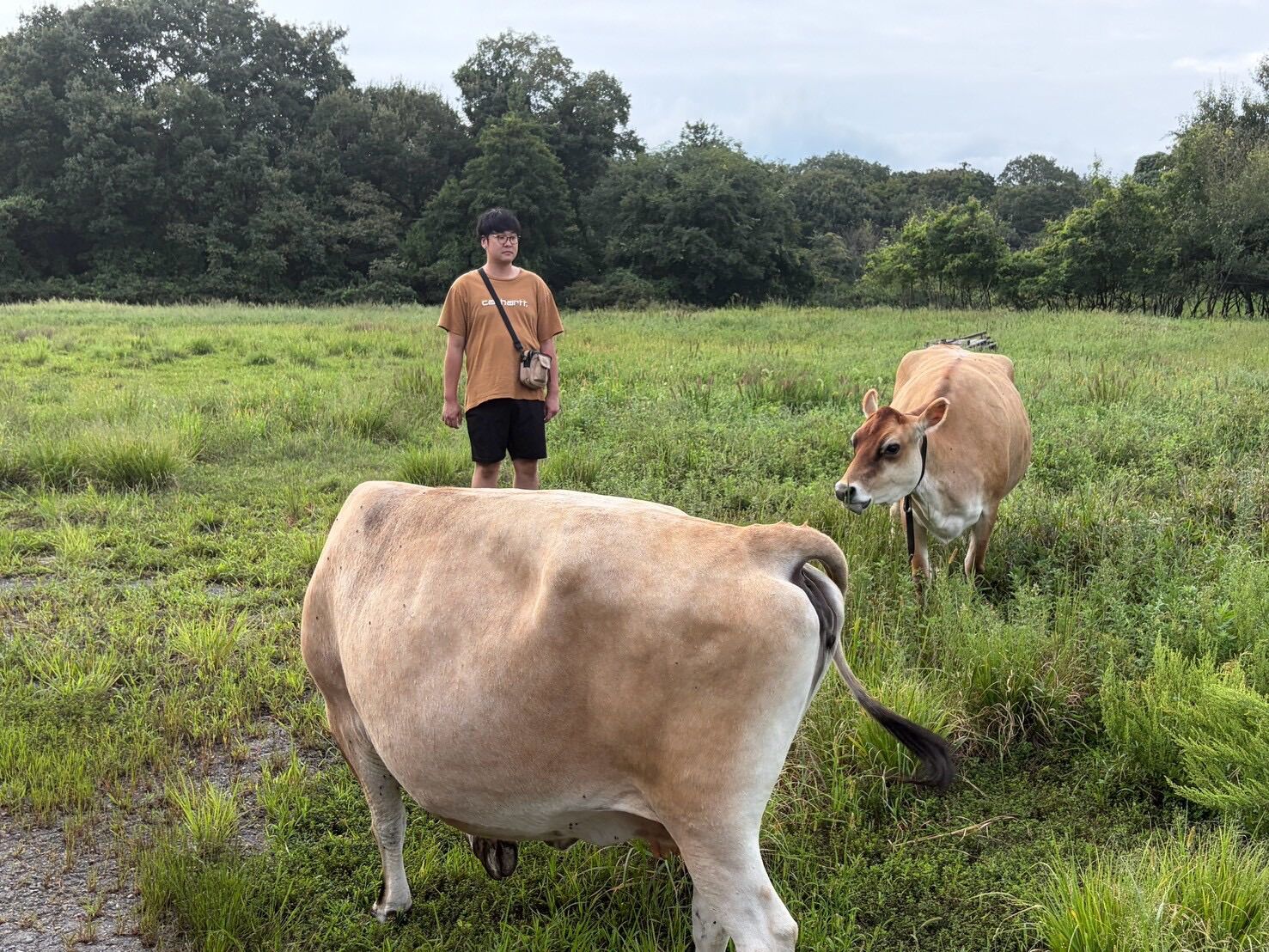 滋賀旅行