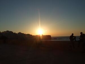 DSCF3363