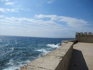 IMG_0379_R