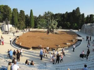 IMG_0375_R